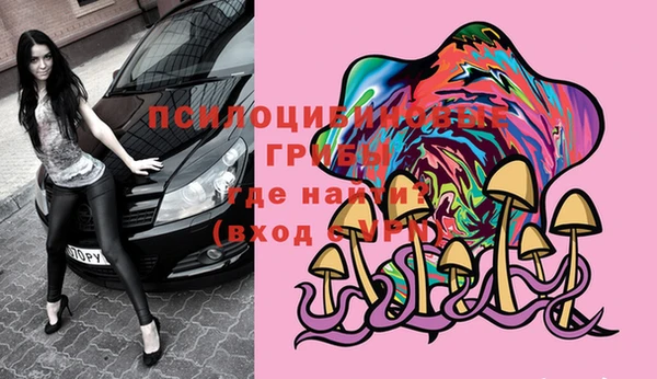2c-b Белокуриха