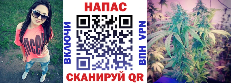где купить   Обь  Каннабис White Widow 